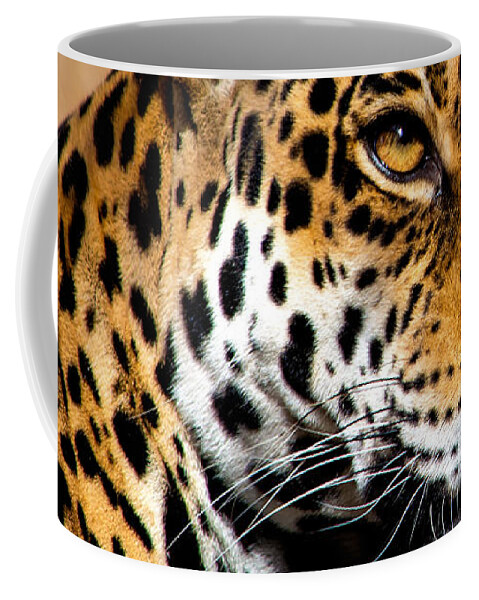 Jaguar Coffee Mug featuring the photograph Powerful by Douglas Killourie