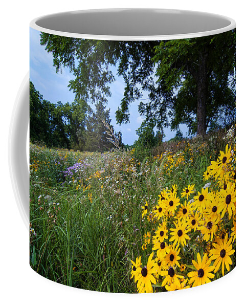 Flowers Coffee Mug featuring the photograph Prairie Wildflowers by Steve Stuller