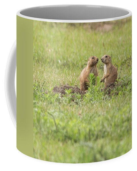 Animal Coffee Mug featuring the photograph Prarie Dog Lovebirds by Brenda Jacobs