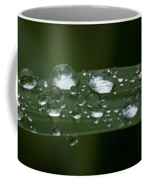 Beautiful Coffee Mug featuring the photograph Precious water by Brian Green