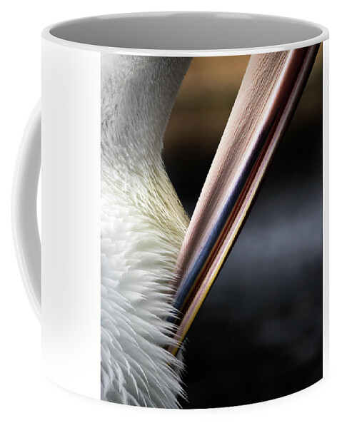 Pelican Coffee Mug featuring the photograph Preen by Diana Andersen