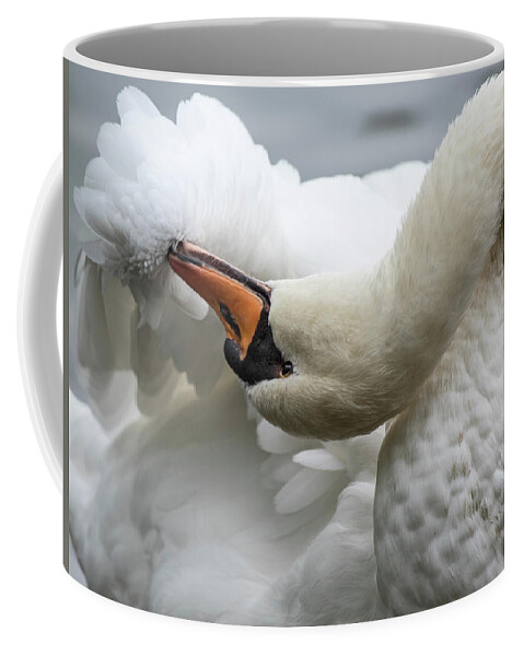 Swan Coffee Mug featuring the photograph Preening Swan-7758 by Steve Somerville