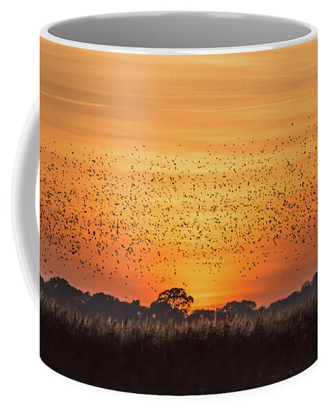 Starlings Coffee Mug featuring the photograph Prepare to Dance by Wendy Cooper