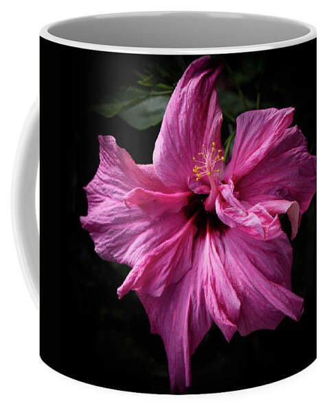 Botanical Coffee Mug featuring the photograph Prettiest in Pink by Venetia Featherstone-Witty
