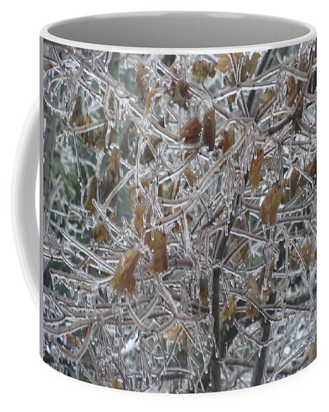 Frozen Coffee Mug featuring the photograph Pretty as Glass by Stacie Siemsen