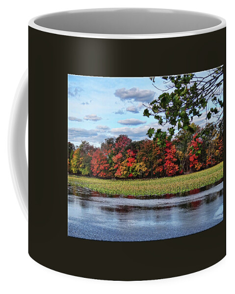 Nature Coffee Mug featuring the photograph Pretty Autumn Scene by Mikki Cucuzzo