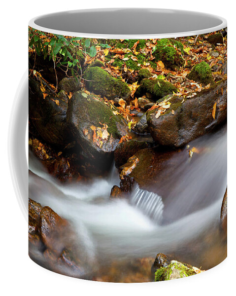 Creeks Coffee Mug featuring the photograph Pretty Flowing Water by Jill Lang