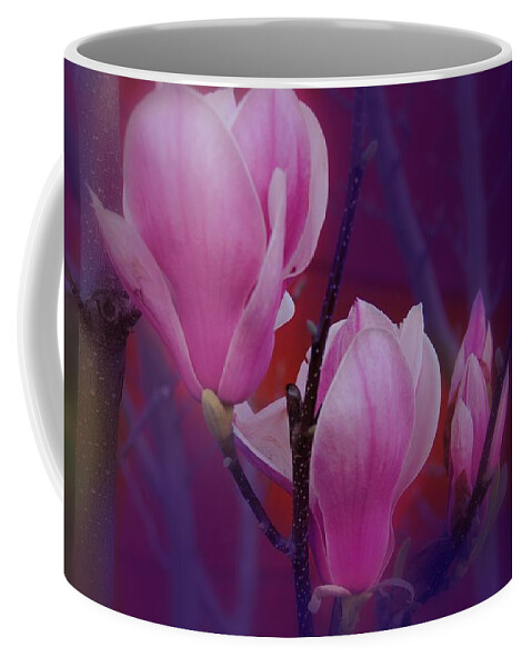 Flowers Coffee Mug featuring the photograph Pretty In Pink by Athala Bruckner