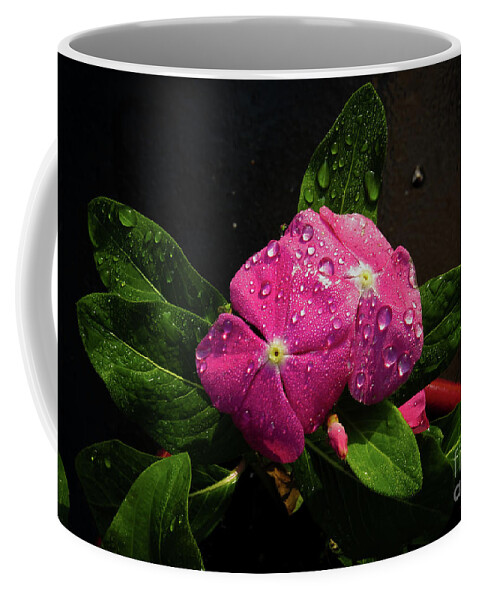 Pink Coffee Mug featuring the photograph Pretty in Pink by Douglas Stucky