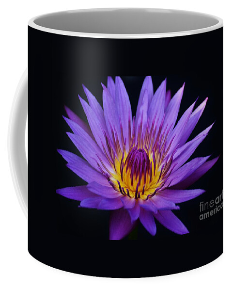 Water Lily Coffee Mug featuring the photograph Pretty in Purple by Julie Adair