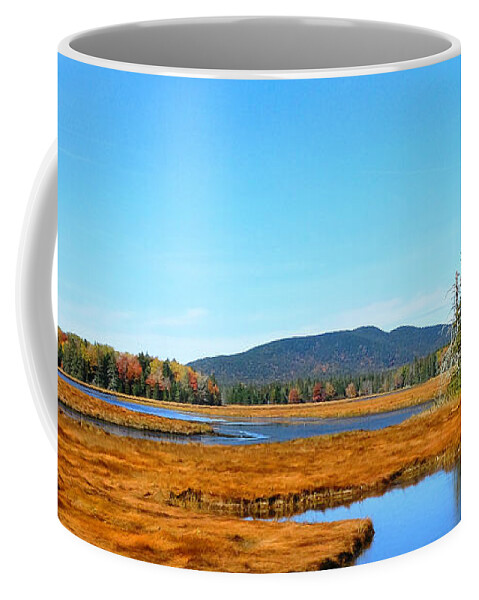 Acadia National Park Coffee Mug featuring the photograph Pretty Marsh by Mike Breau
