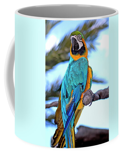Macaw Coffee Mug featuring the photograph Pretty Parrot by Carolyn Marshall