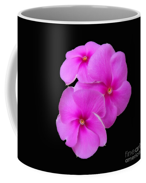 Flower Coffee Mug featuring the photograph Pretty Purple Triplets by Sue Melvin
