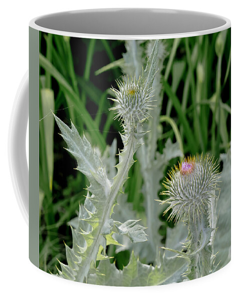 Flowers Coffee Mug featuring the photograph Prickly Meet Up. by Elena Perelman