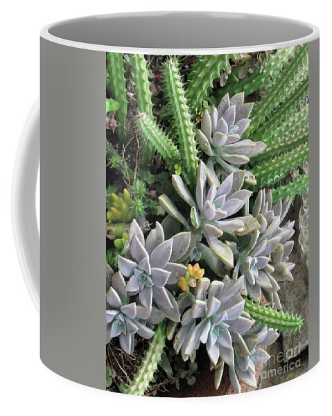 Fine Art Photo Coffee Mug featuring the photograph Prickly one by Ken Frischkorn