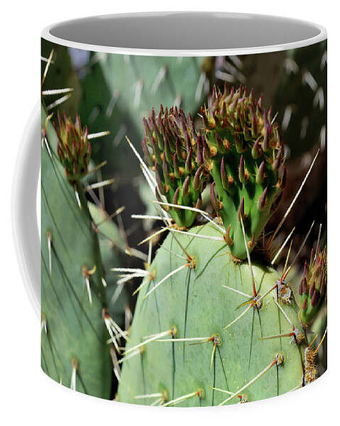 Nature Coffee Mug featuring the photograph Prickly Pear Buds by Ron Cline