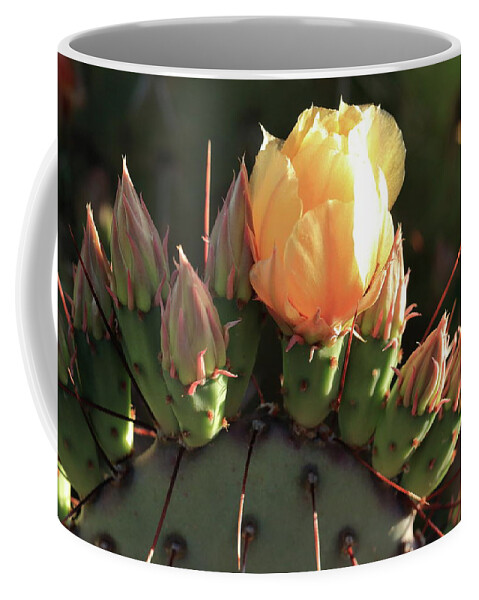 Flower Coffee Mug featuring the photograph Prickly Pear Cactus by David Diaz