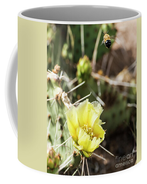 Natanson Coffee Mug featuring the photograph Prickly Pear Honey by Steven Natanson