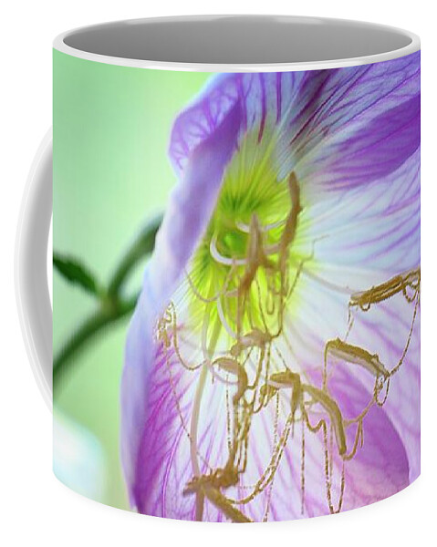 Mexican Evening Primrose Coffee Mug featuring the photograph Primrose Pearls by Debra Sabeck