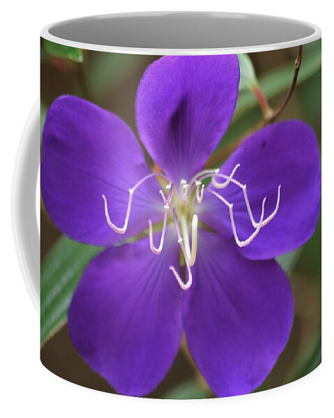 Princess Bloom Coffee Mug featuring the photograph Princess Bloom by Warren Thompson