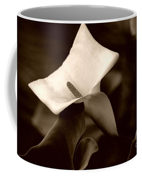 Clay Coffee Mug featuring the photograph Pristine by Clayton Bruster