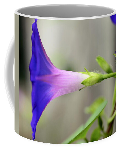Morning Glory Coffee Mug featuring the photograph Profile by Corinne Rhode