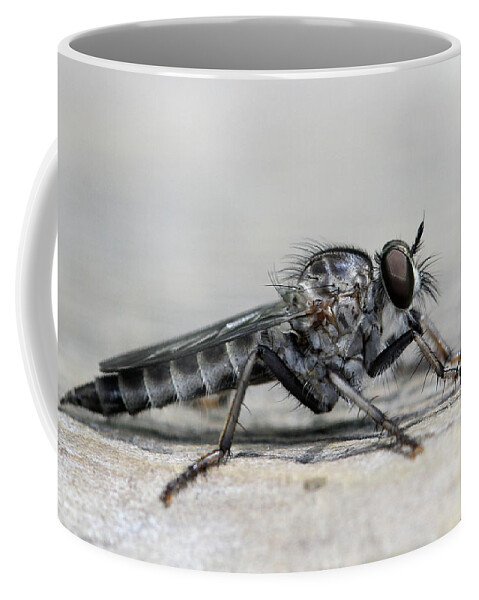 Robber Fly Coffee Mug featuring the photograph Profile of a Robber Fly by Doris Potter