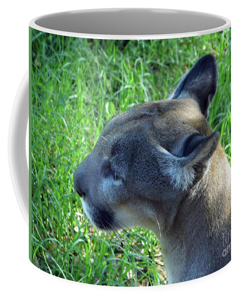 Panther Coffee Mug featuring the photograph Profile Of Yuma by D Hackett
