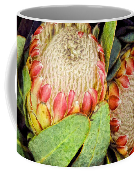 Still Life Coffee Mug featuring the photograph Proteas II by Jan Amiss Photography
