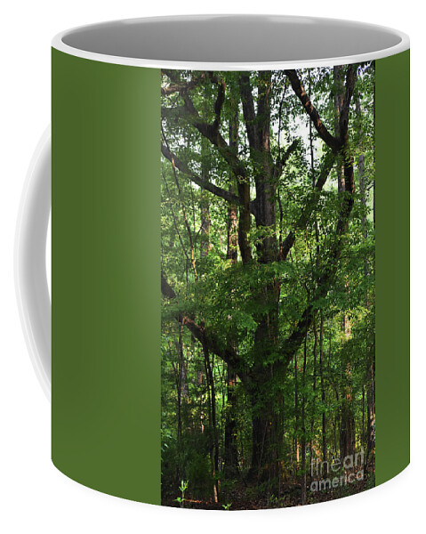 Nature Coffee Mug featuring the photograph Protecting The Children by Skip Willits