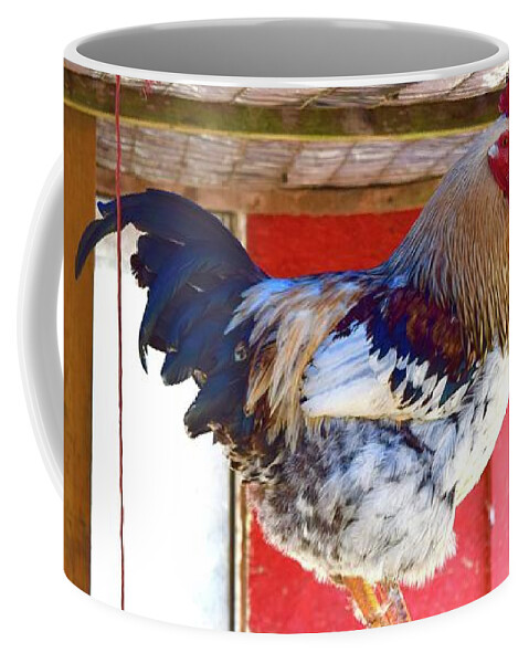 Barrieloustark Coffee Mug featuring the photograph Proud by Barrie Stark