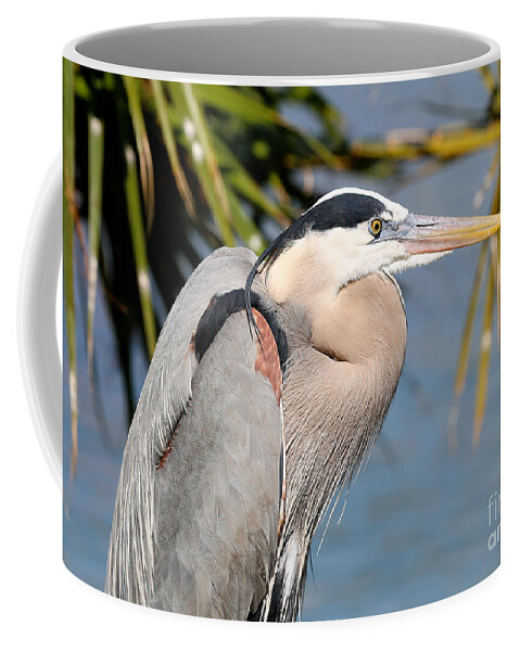 Heron Coffee Mug featuring the photograph Proud Great Blue Heron by Carol Groenen