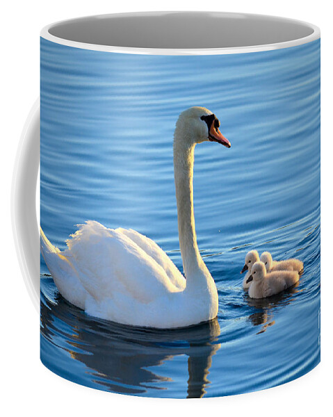 Mute Swan Coffee Mug featuring the photograph Proud Mother by Deb Halloran