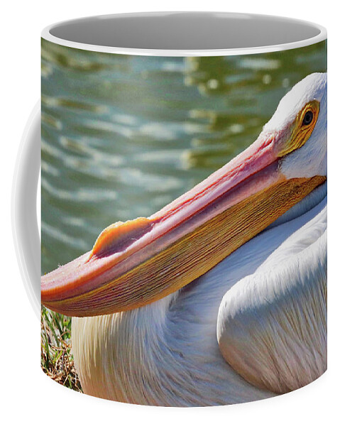 American White Pelican Coffee Mug featuring the photograph Proud White Pelican by Carol Groenen