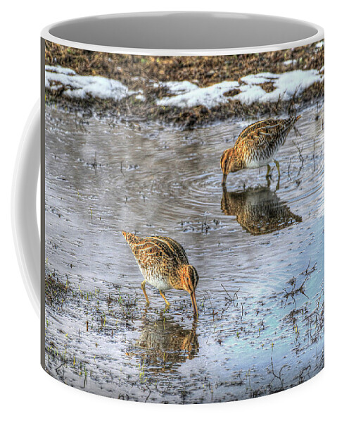 Wilson's Snipe Coffee Mug featuring the photograph Puddle Explorers by J Laughlin