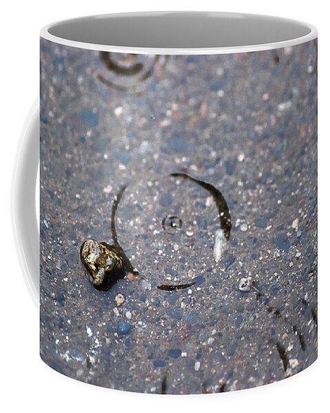 Nature Coffee Mug featuring the photograph Puddlescape by Sue Capuano