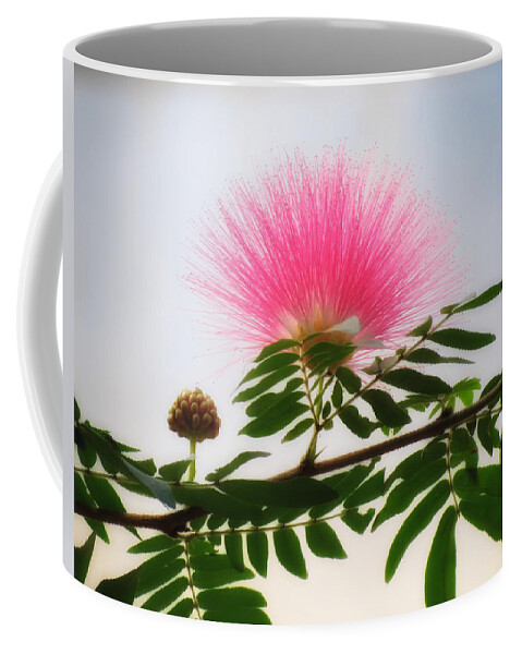 Magic Wings Coffee Mug featuring the photograph Puff of Pink - Mimosa Flower by MTBobbins Photography