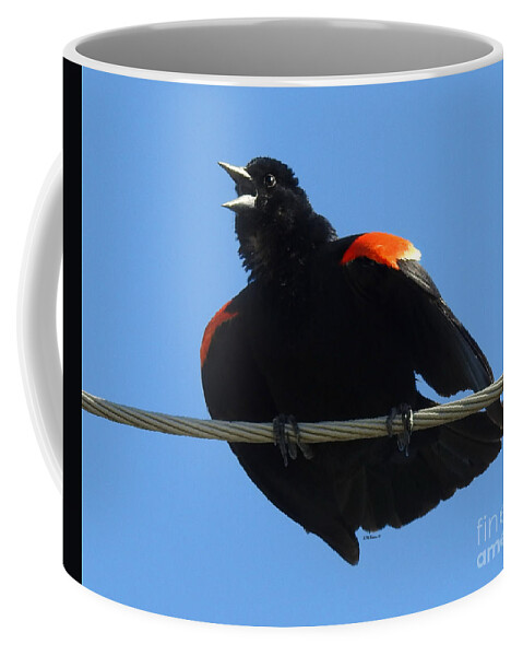 Puffed Up Singer Coffee Mug featuring the photograph Puffed Up Singer by Kathy M Krause