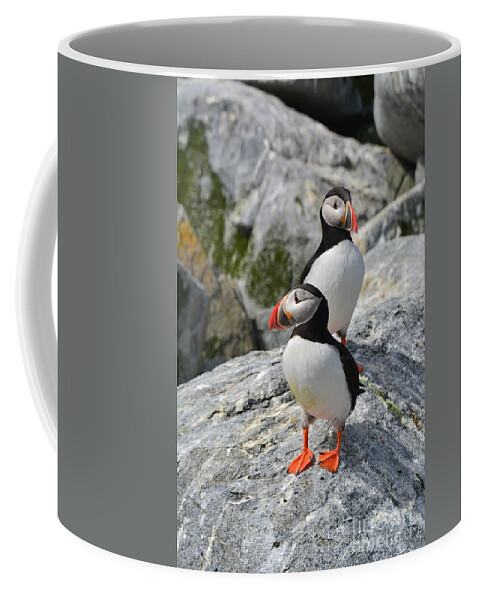 Puffins Coffee Mug featuring the photograph Puffins by Steve Brown