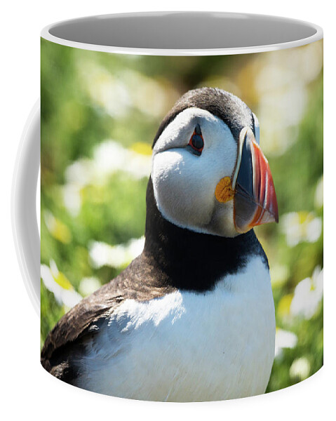  Coffee Mug featuring the photograph Puffy Puffin by Framing Places