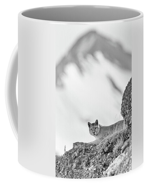 Puma Coffee Mug featuring the photograph Puma Peak by Max Waugh
