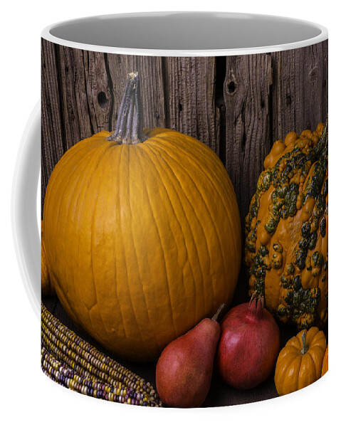 Gourd Coffee Mug featuring the photograph Pumpkin Autumn Still Life by Garry Gay