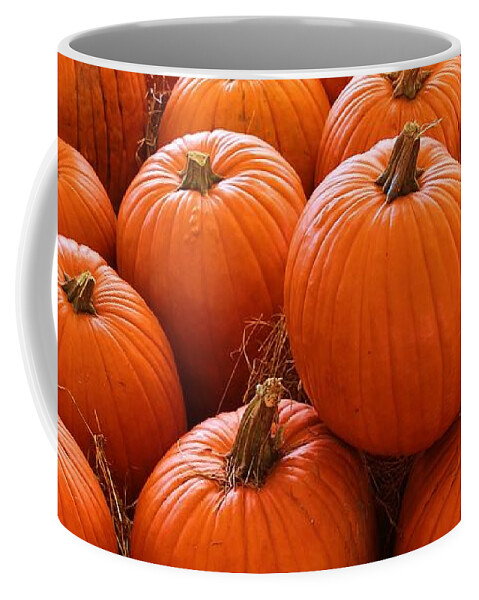 Photo For Sale Coffee Mug featuring the photograph Pumpkin Parch 3 by Robert Wilder Jr