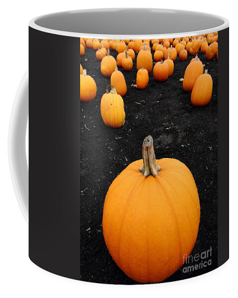 Pumpkin Coffee Mug featuring the photograph Pumpkin Patch 5 by Wingsdomain Art and Photography
