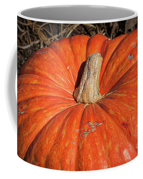 Fall Coffee Mug featuring the photograph Pumpkin Season by Ana V Ramirez