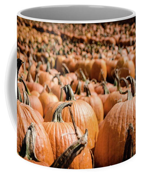 Holiday Coffee Mug featuring the photograph Pumpkins 18 by Andrea Anderegg