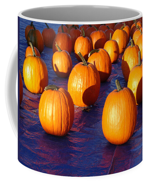 Pumpkin Coffee Mug featuring the photograph Pumpkins Blues Landscape by Steve Karol