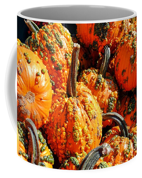 Autumn Coffee Mug featuring the photograph Pumpkins with Warts by Iryna Liveoak