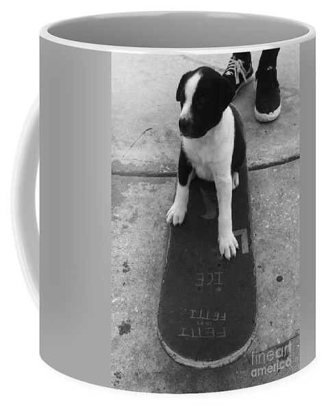 Puppy Coffee Mug featuring the photograph Puppy skater by WaLdEmAr BoRrErO