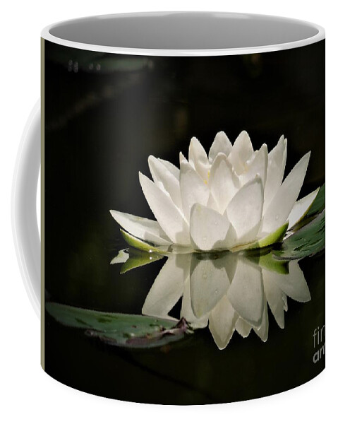 Pure Coffee Mug featuring the photograph Pure and White by Chad and Stacey Hall